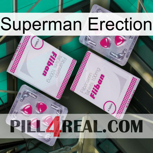 Superman Erection 33.jpg